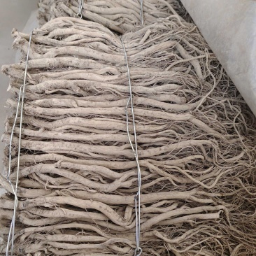 牛膝大量有货欢迎新老客户选购！