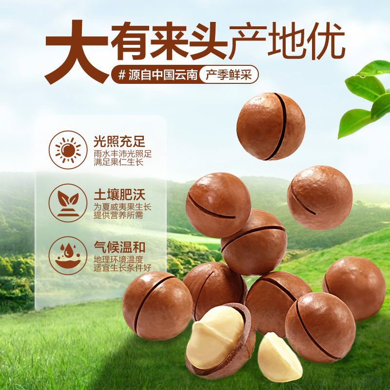 夏威夷果源头厂家，各大品牌供货商，一手货源，一件代发！