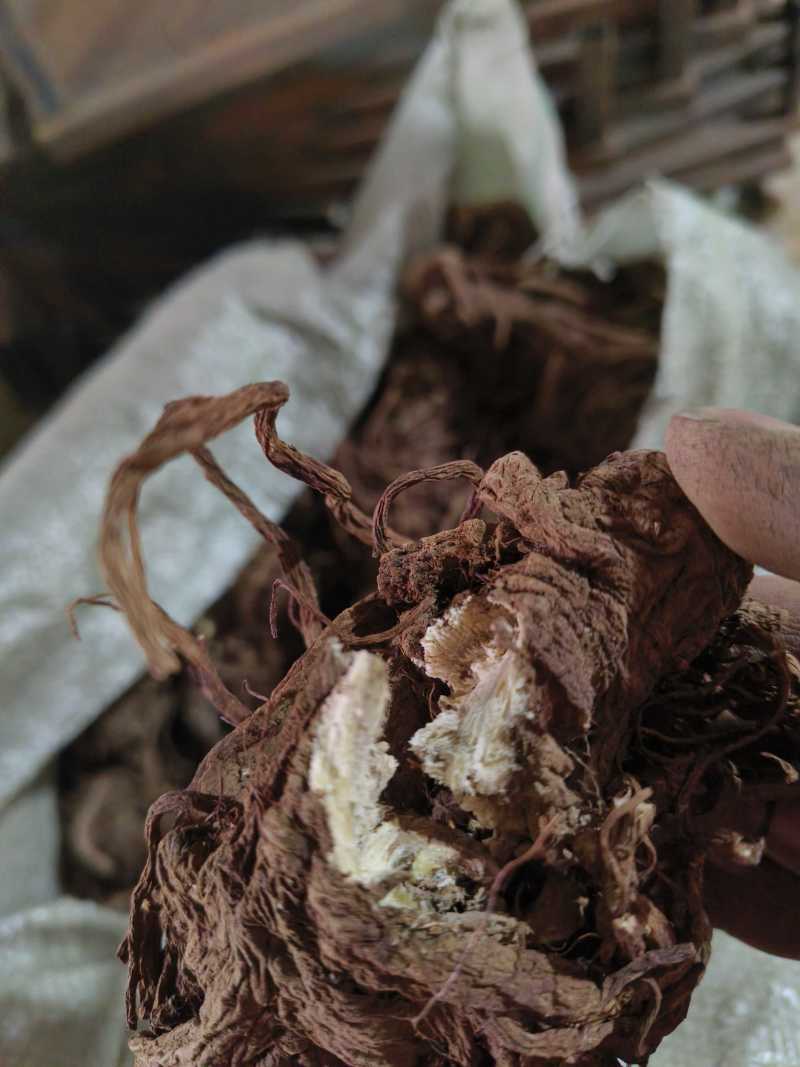 独活