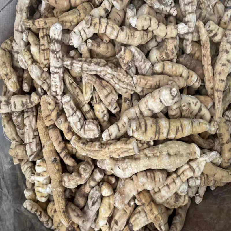 龙鞭参，顶天参，新货无硫，中药材大货供应