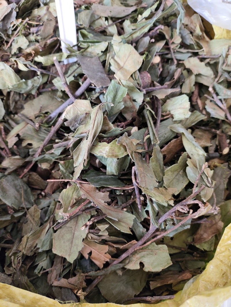 正品野生药材暖骨风一身保暖暖骨草无提取干品