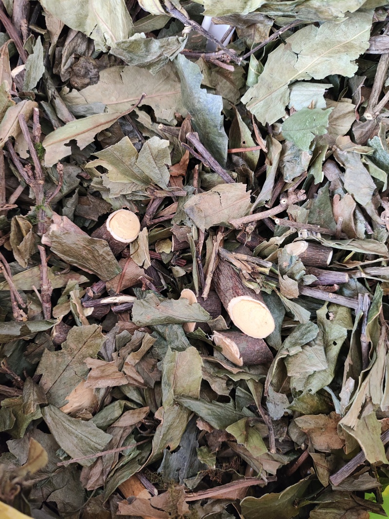 正品野生药材暖骨风一身保暖暖骨草无提取干品