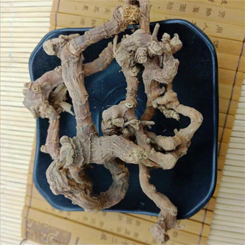 中药材山姜、箭杆风、九龙盘、九姜连、和山姜九龙盘中药材