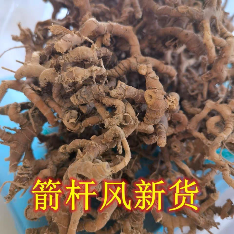中药材山姜、箭杆风、九龙盘、九姜连、和山姜九龙盘中药材