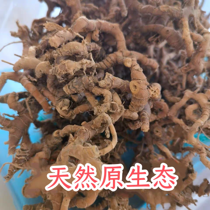 中药材山姜、箭杆风、九龙盘、九姜连、和山姜九龙盘中药材