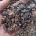 土元中药材土鳖虫土元碎虫打粉饲料用经济实惠