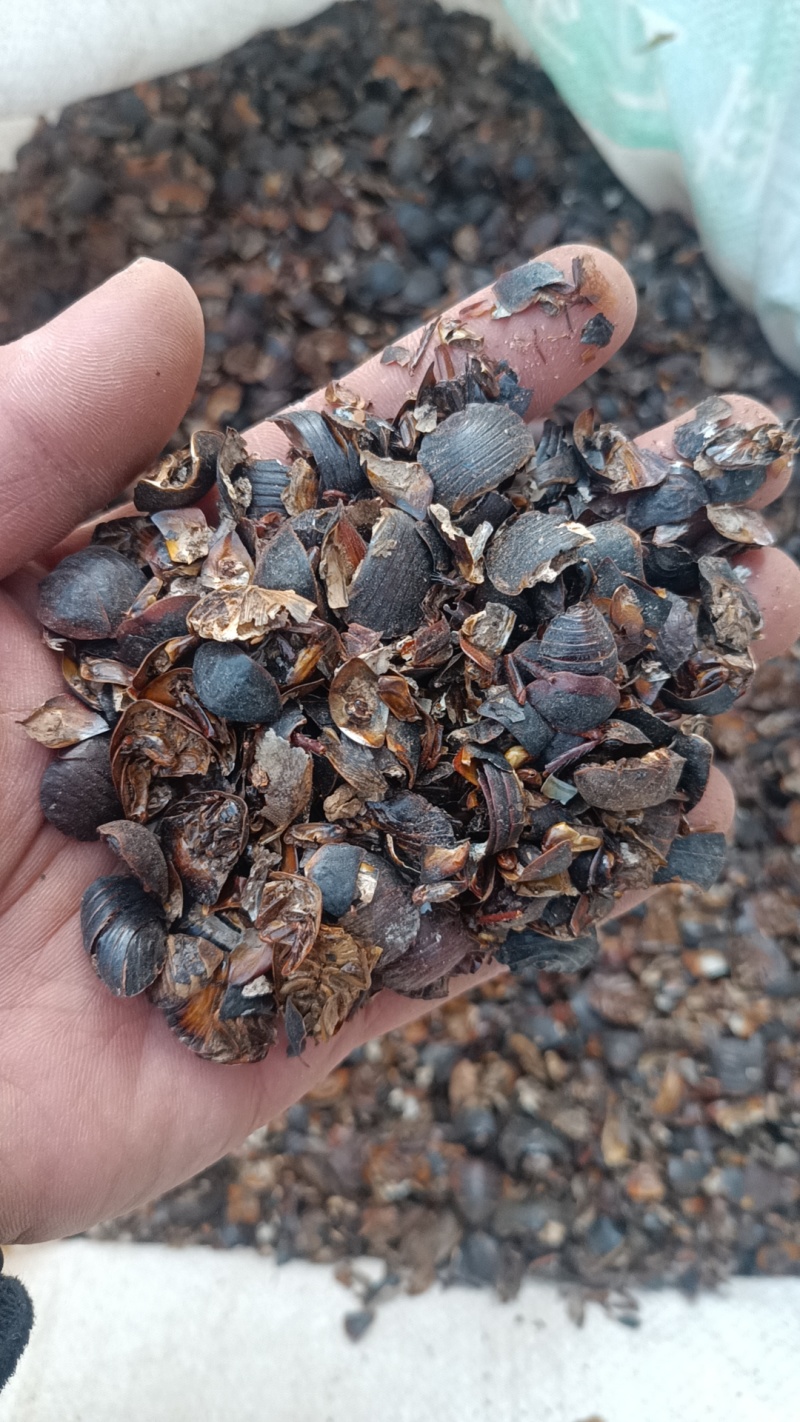 土元中药材土鳖虫土元碎虫打粉饲料用经济实惠