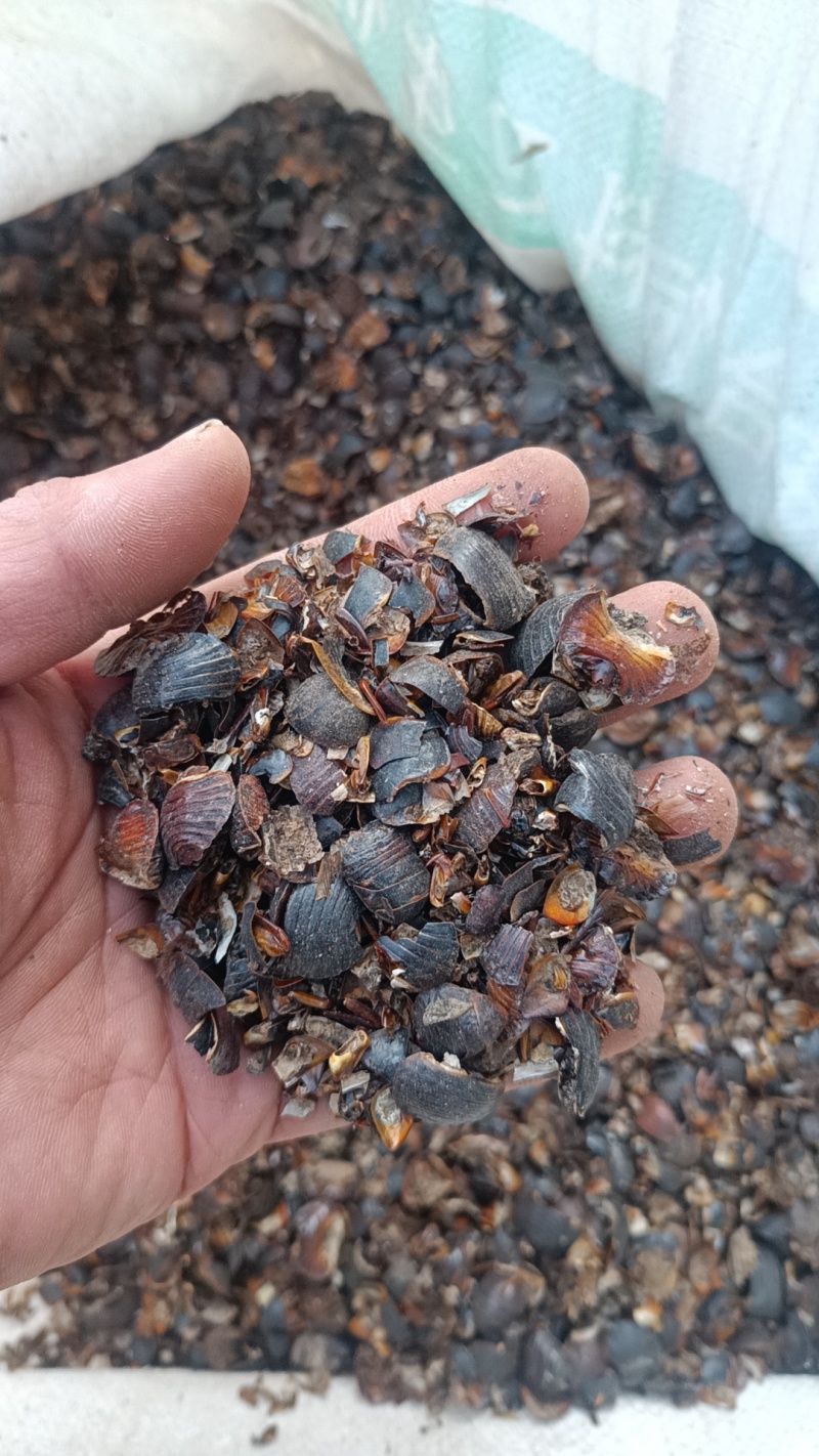 土元中药材土鳖虫土元碎虫打粉饲料用经济实惠