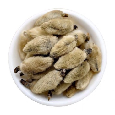 辛夷花茶中药材正品香料毛桃干辛夷泡茶泡水喝炎茶