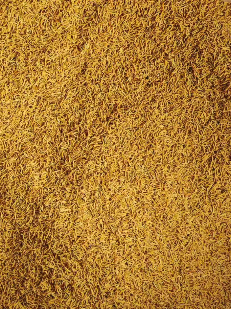正品牡丹花蕊黄金蕊金花蕊茶无硫新货一手货源大货