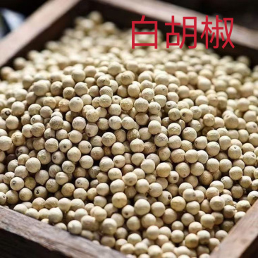 正宗越南进口白胡椒无硫无熏染保证正品高品质