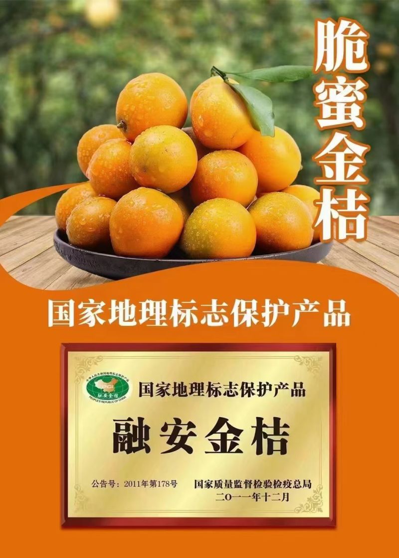 融安脆蜜金柑