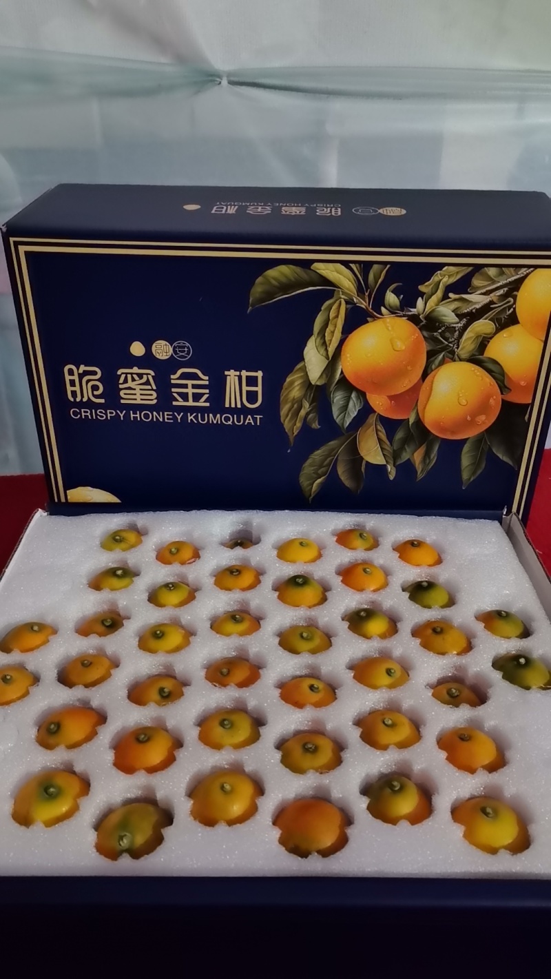 融安脆蜜金柑