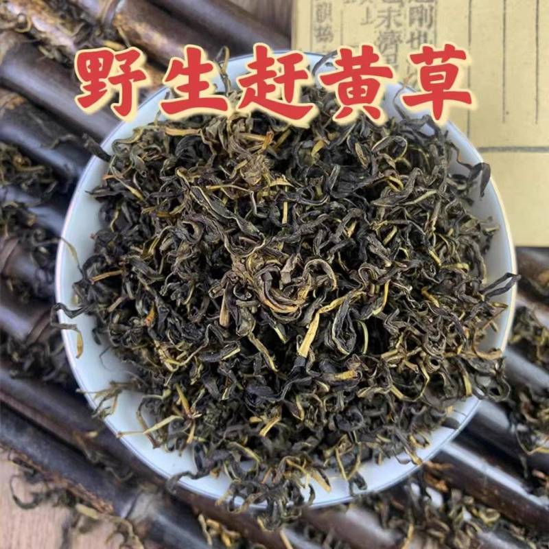 赶黄草茶四川古蔺赶黄草不是蒲公英冒充假一赔十