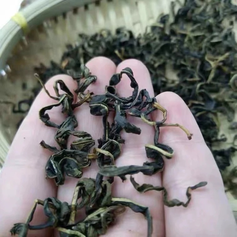 赶黄草茶四川古蔺赶黄草不是蒲公英冒充假一赔十