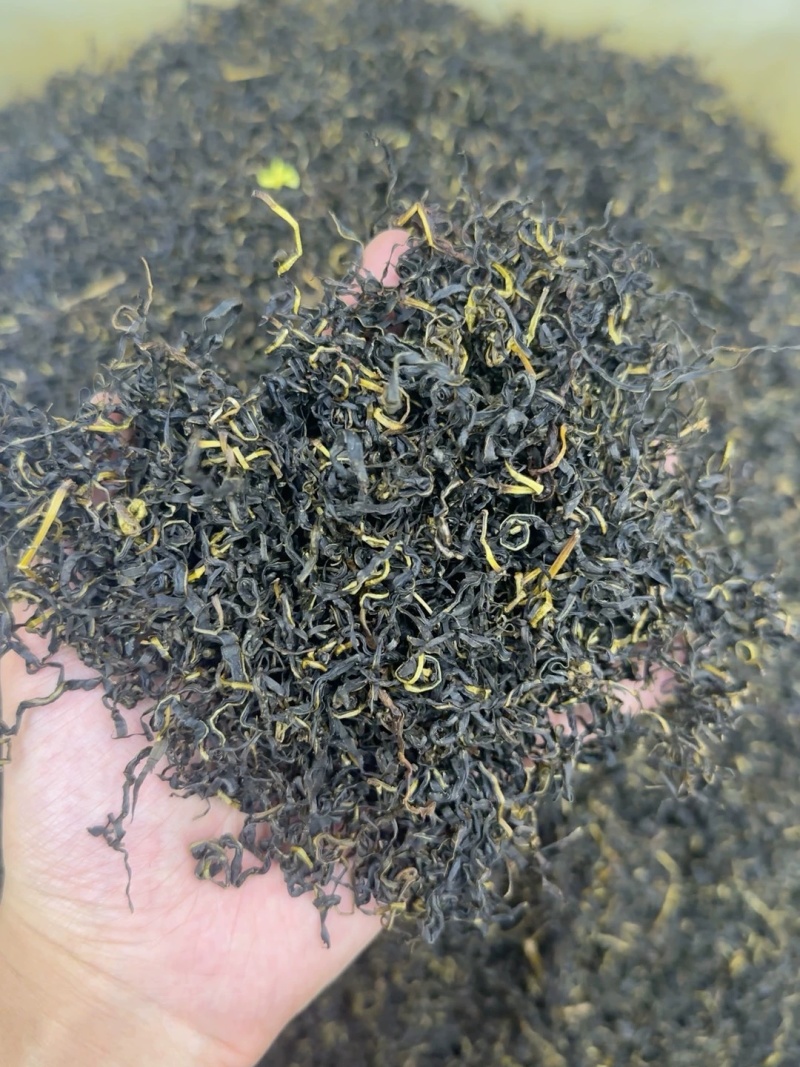 赶黄草茶四川古蔺赶黄草不是蒲公英冒充假一赔十
