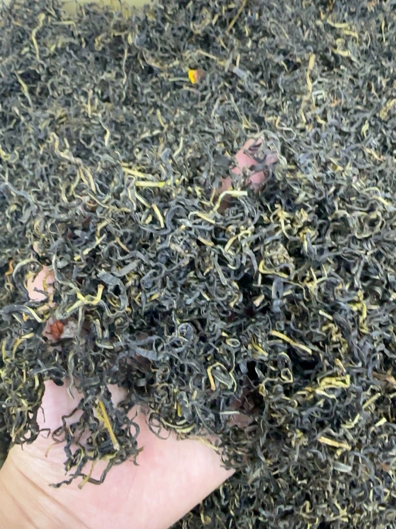 赶黄草茶四川古蔺赶黄草不是蒲公英冒充假一赔十
