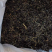 赶黄草茶四川古蔺赶黄草不是蒲公英冒充假一赔十