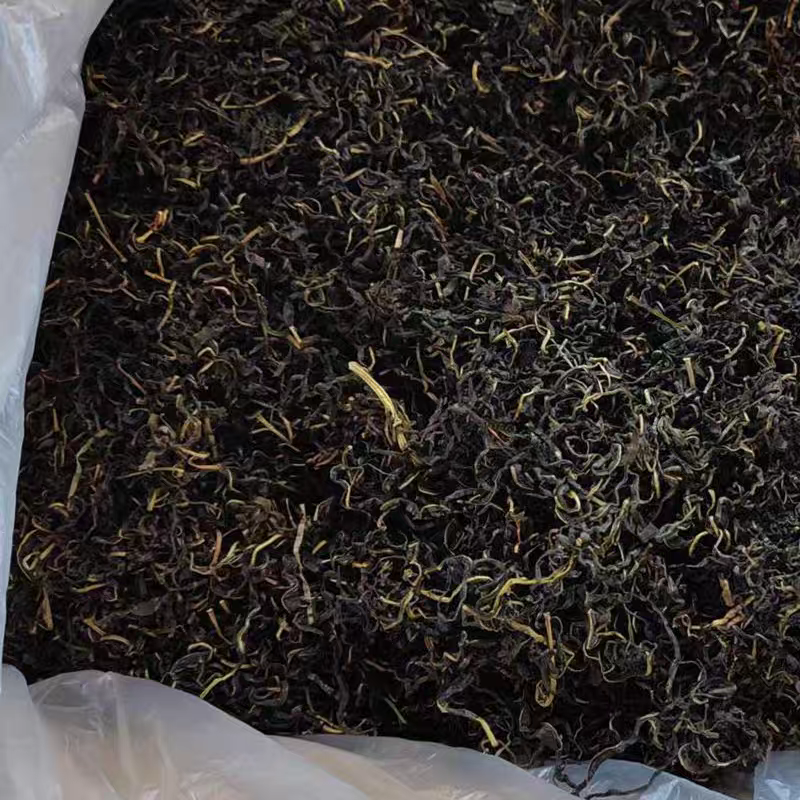 赶黄草茶四川古蔺赶黄草不是蒲公英冒充假一赔十