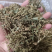 赶黄草花茶无硫***正品质量大货供应