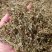 赶黄草花茶无硫***正品质量大货供应