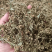 赶黄草花茶无硫***正品质量大货供应
