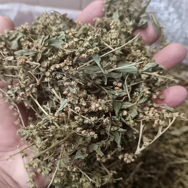 赶黄草花茶无硫***正品质量大货供应