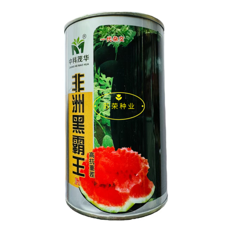 非洲黑霸王西瓜种子巨大黑皮西瓜种子早熟高产