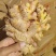 《云南小黄姜》红土小黄姜【批发商超电商】现挖现发