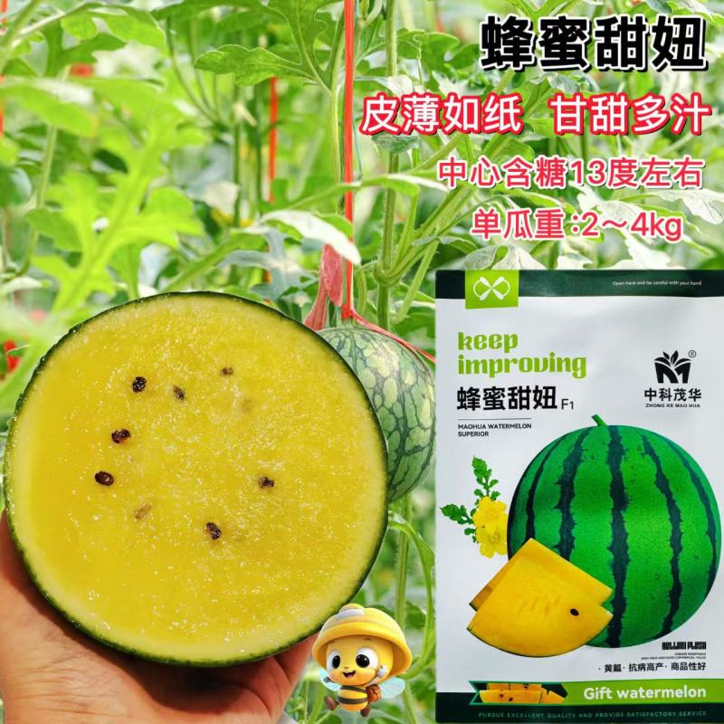 蜂蜜甜妞西瓜种籽早熟杂交礼品黄瓤西瓜种子肉质甜脆多汁耐低