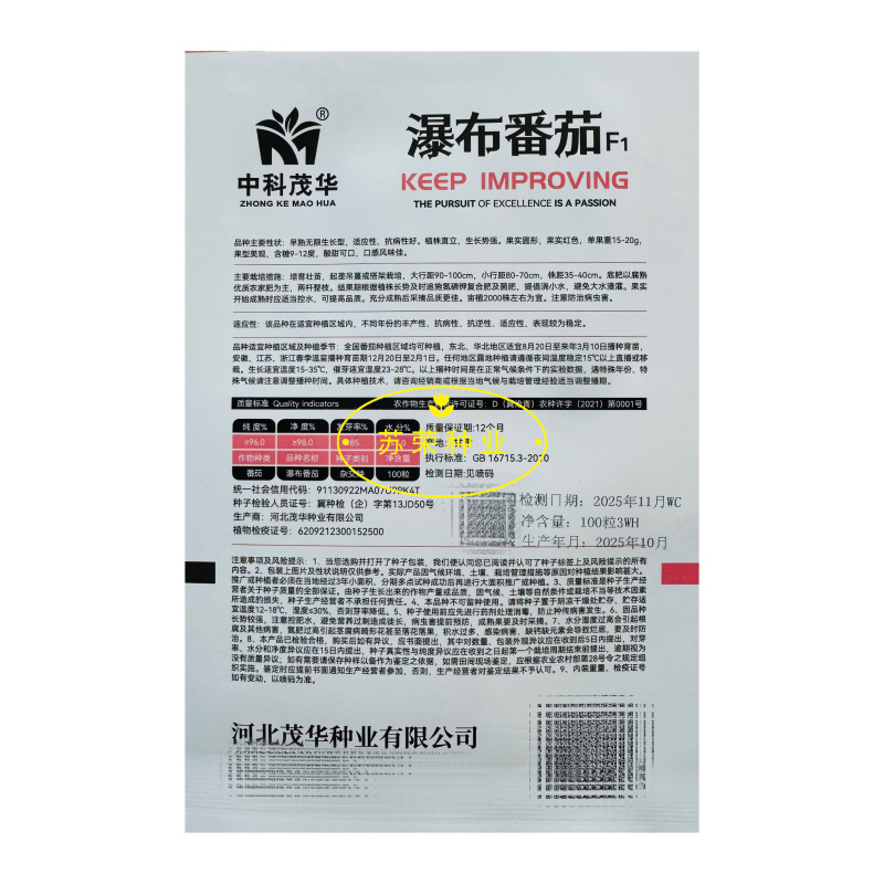瀑布番茄种子樱桃小番茄高产水果西红柿种籽孑盆栽红圣女果