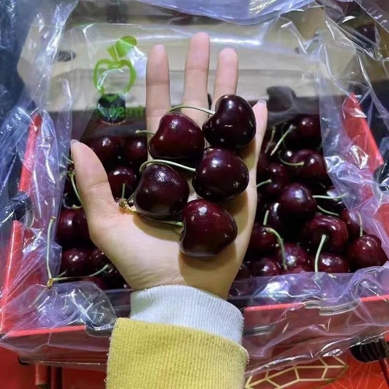 车厘子/电商一件商超团24小时揽收