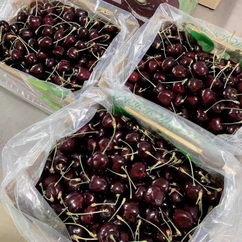 车厘子/电商一件商超团24小时揽收