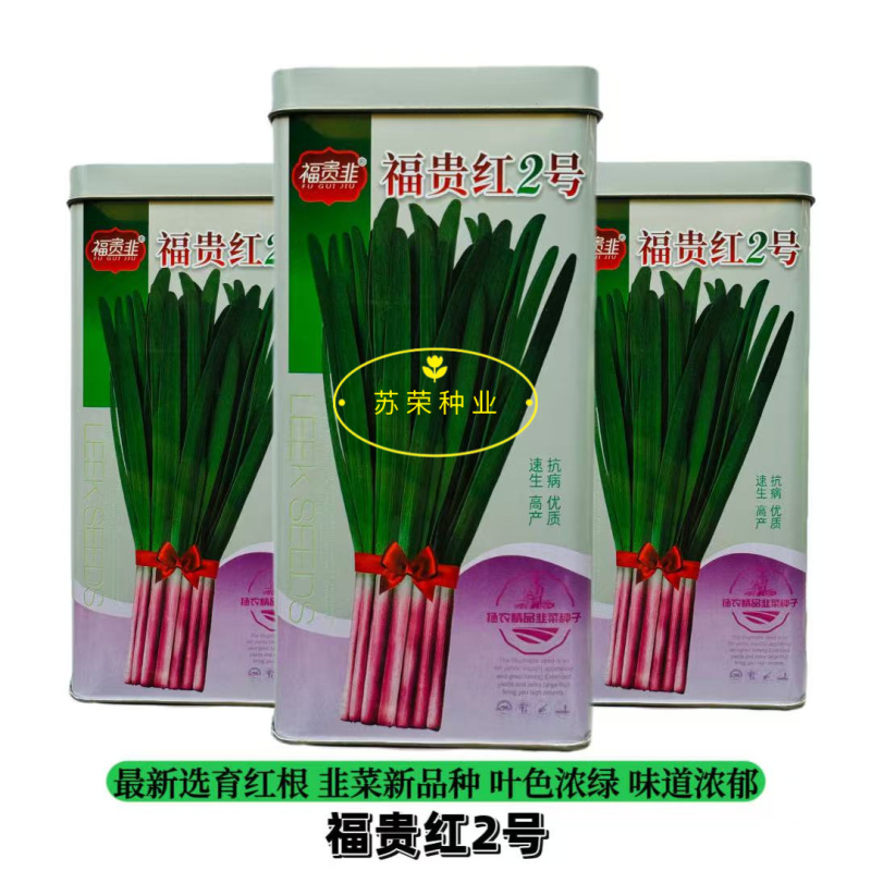 福贵红2号红根韭菜种子厚叶休眠型红根韭菜种籽露地