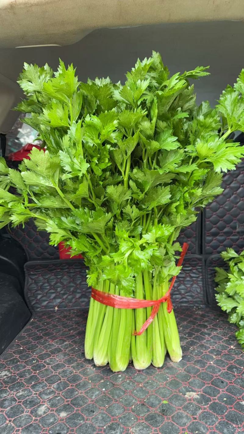 西芹，芹菜