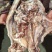 全熟牛头肉清水煮全熟去骨牛头肉精修去油去淋巴