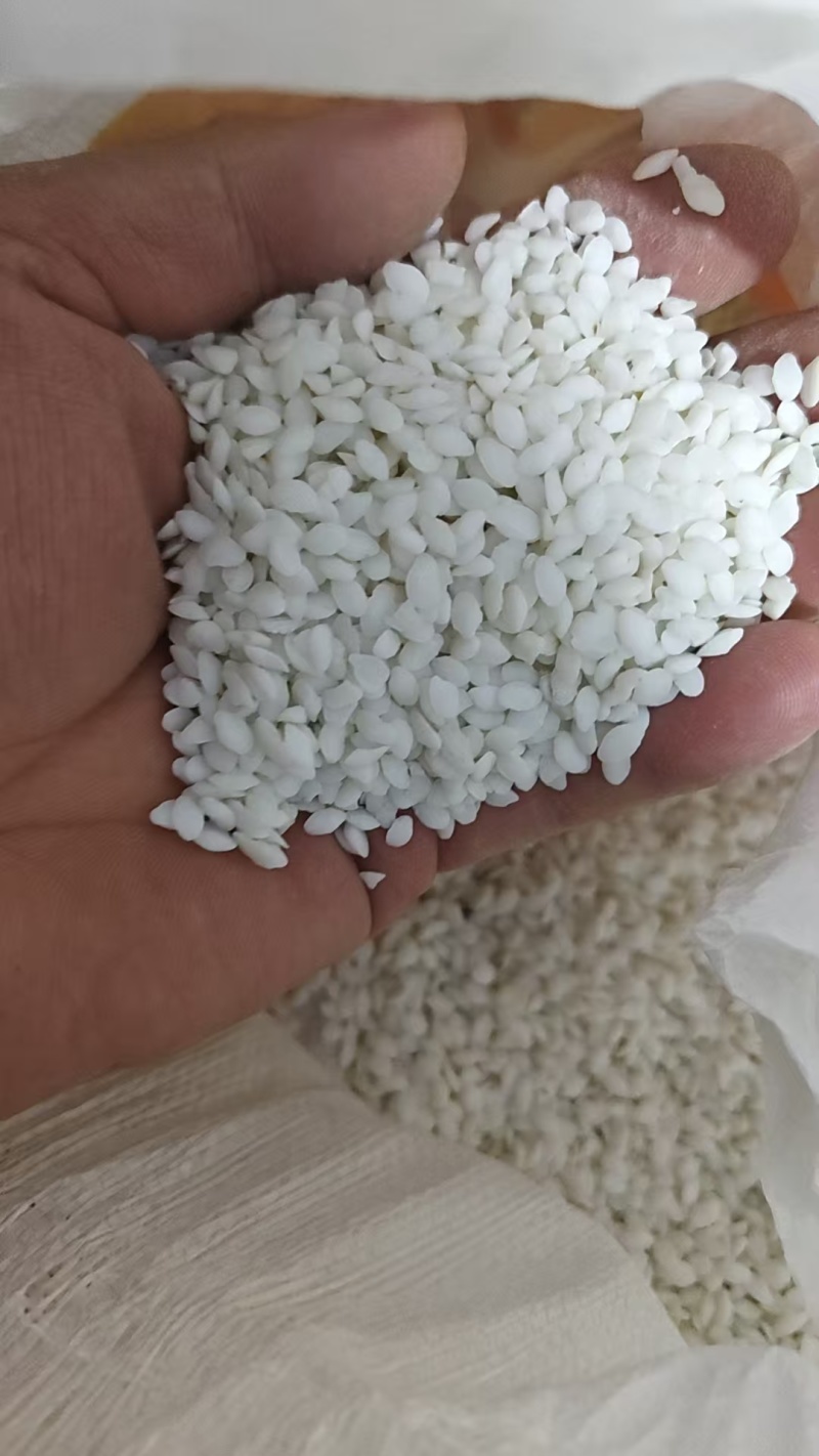 鱼脑石