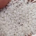 鱼脑石