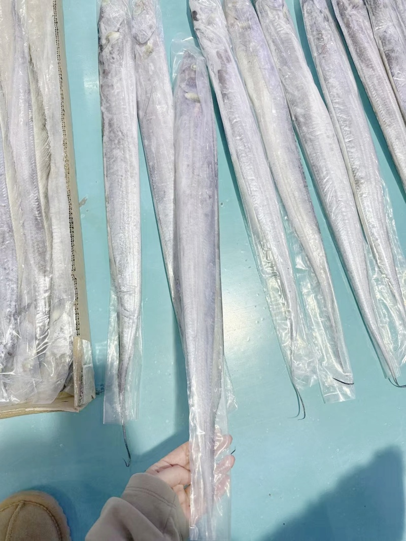 印尼AAA钓带网带阿曼钓带网带质量好价格优
