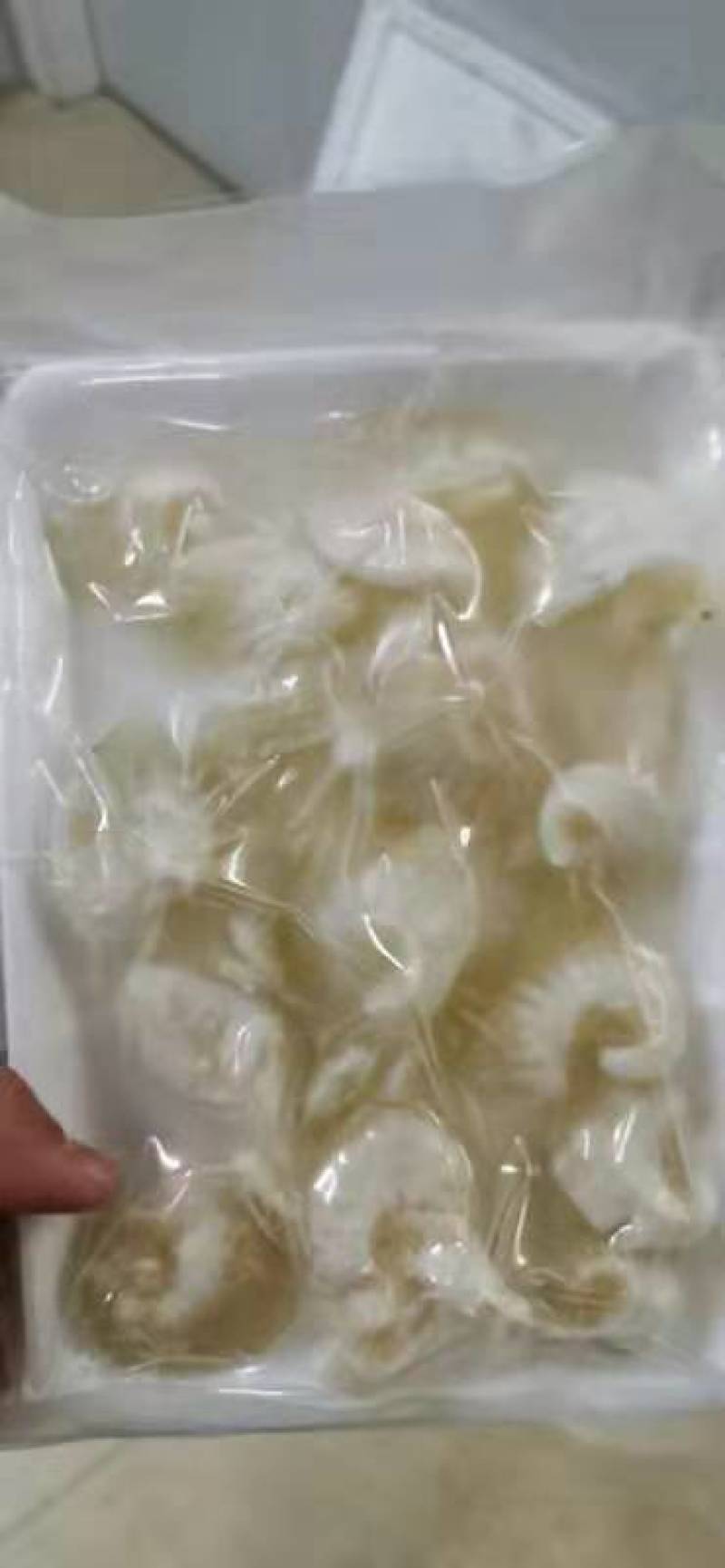 牙拣鱼翅，鱼翅条，牙拣肉翅，上汤鱼翅，鸡娲鱼翅