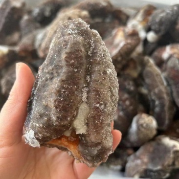 红参，即食红参，炒焗红参，鲍汁扣红参，红焖红参，大红海参