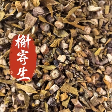 槲寄生一手货源批发零售全国发货