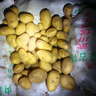 土豆