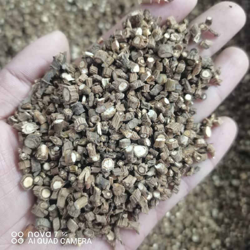 藏柴胡陕西柴胡干货规格齐全量大从优