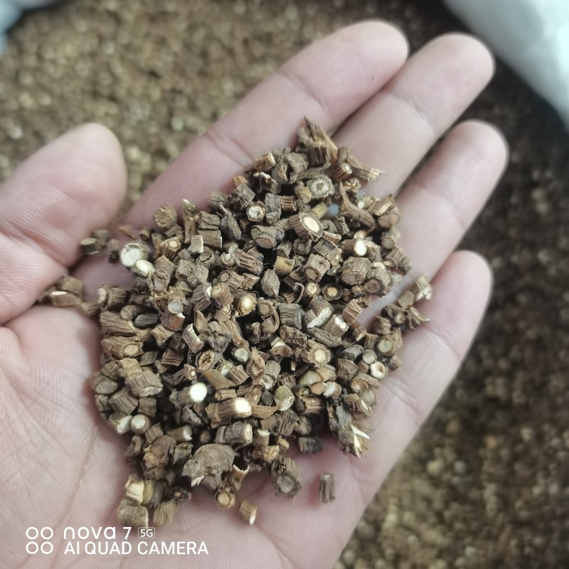 藏柴胡陕西柴胡干货规格齐全量大从优