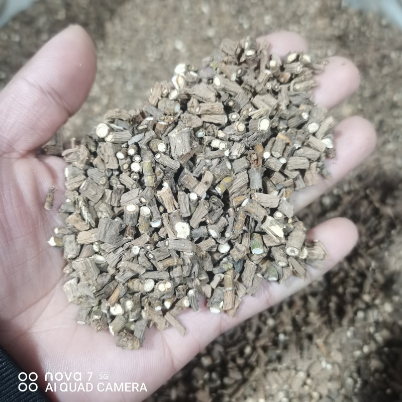 藏柴胡陕西柴胡干货规格齐全量大从优