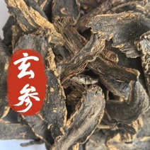 玄参一手货源量大从优道地药材中药材玄参