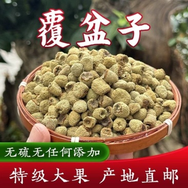 覆盆子浙江优质覆盆子规格齐全可供实体店批发零售