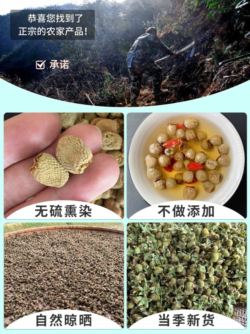 覆盆子浙江优质覆盆子规格齐全可供实体店批发零售