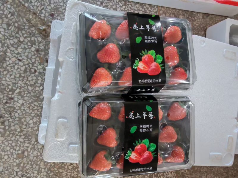 江苏徐州宁玉草莓，大量供应对接市场全国代发